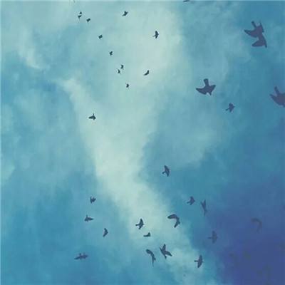 铜陵房地产信息网